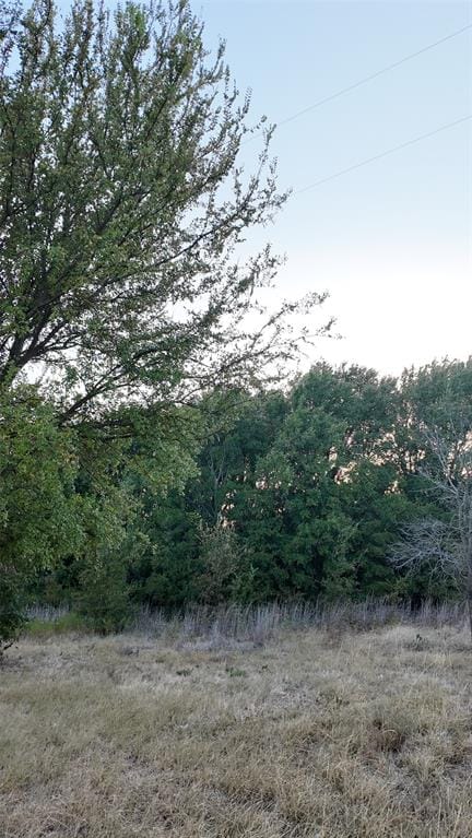 4615 Monroe Highway, Cresson TX 76035 - Photo 23