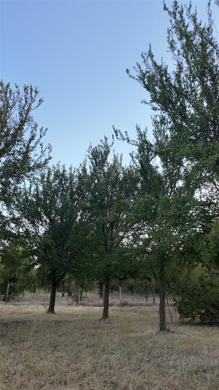 4615 Monroe Highway, Cresson TX 76035 - Photo 22