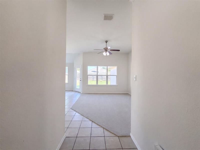 804 Bamboo Drive, Anna TX 75409 - Photo 6