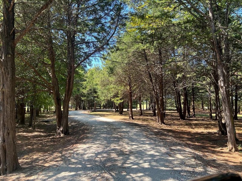 180 E Greer Road, Sadler TX 76264 - Photo 4