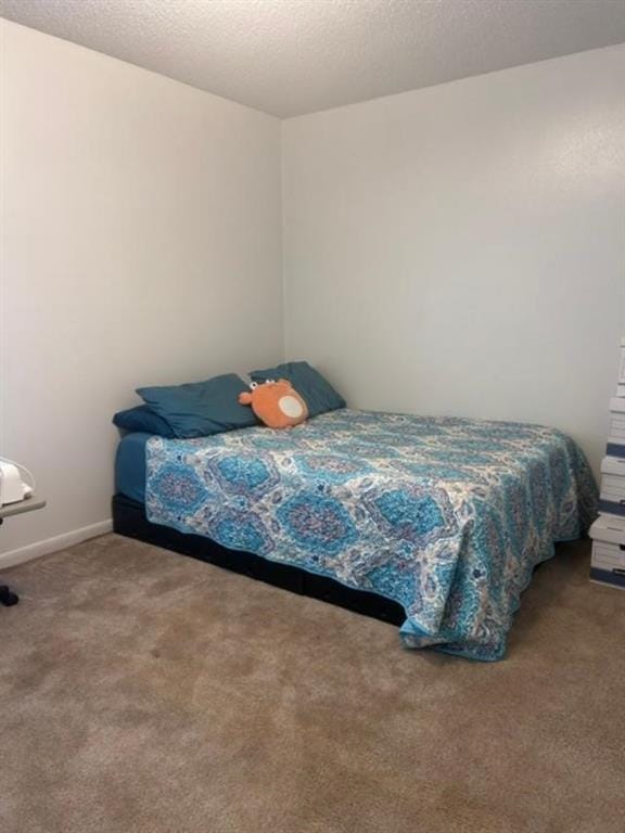 1353 Beasley Boulevard, Whitewright TX 75491 - Photo 22
