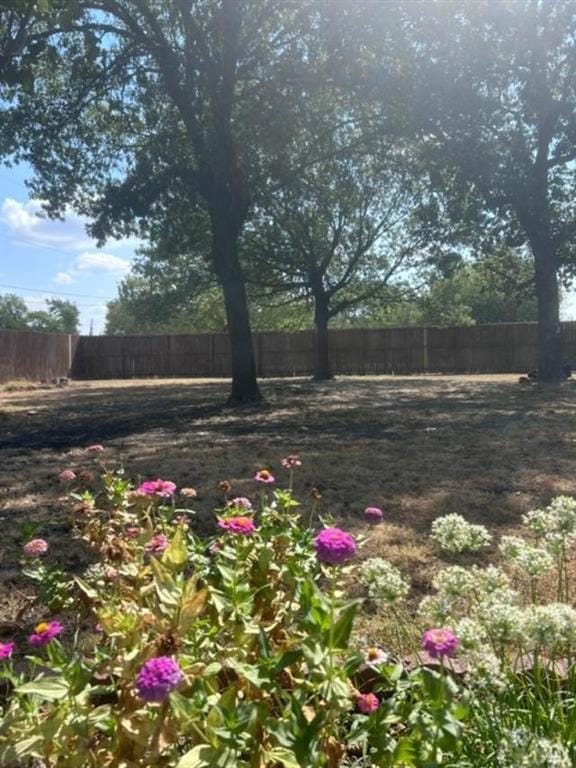 1353 Beasley Boulevard, Whitewright TX 75491 - Photo 32