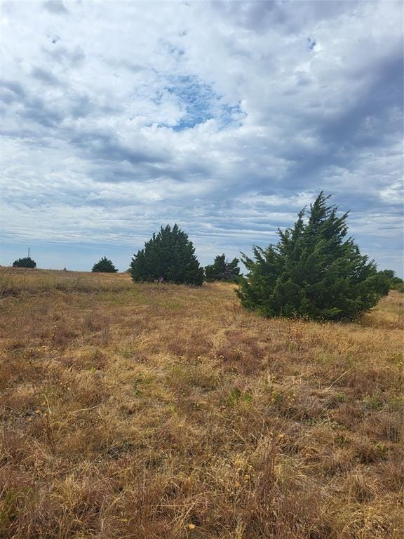 172 Private Road 439, Itasca TX 76055 - Photo 12