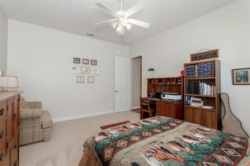 349 Pine Valley Drive, Fairview TX 75069 - Photo 30