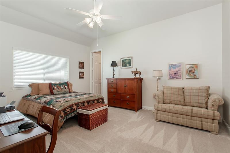 349 Pine Valley Drive, Fairview TX 75069 - Photo 29