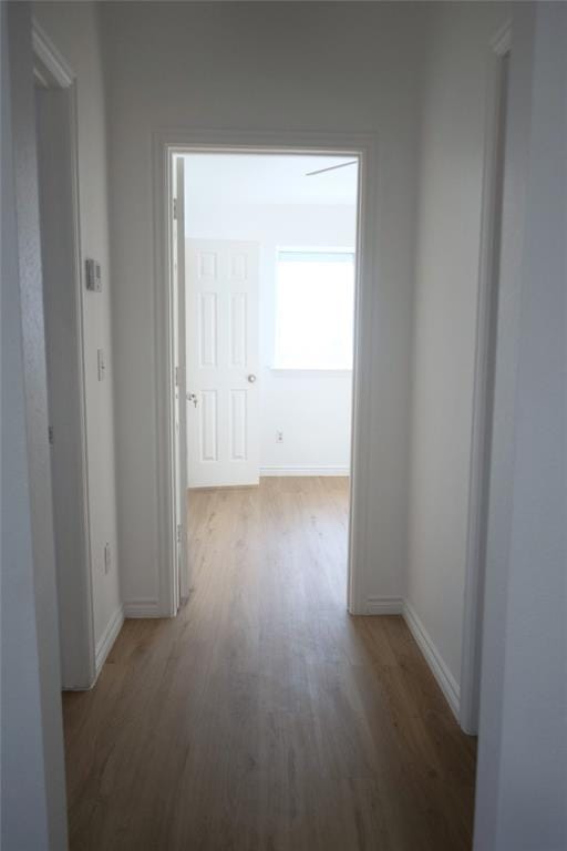 8626 Cedar Post Court, Dallas TX 75227 - Photo 11