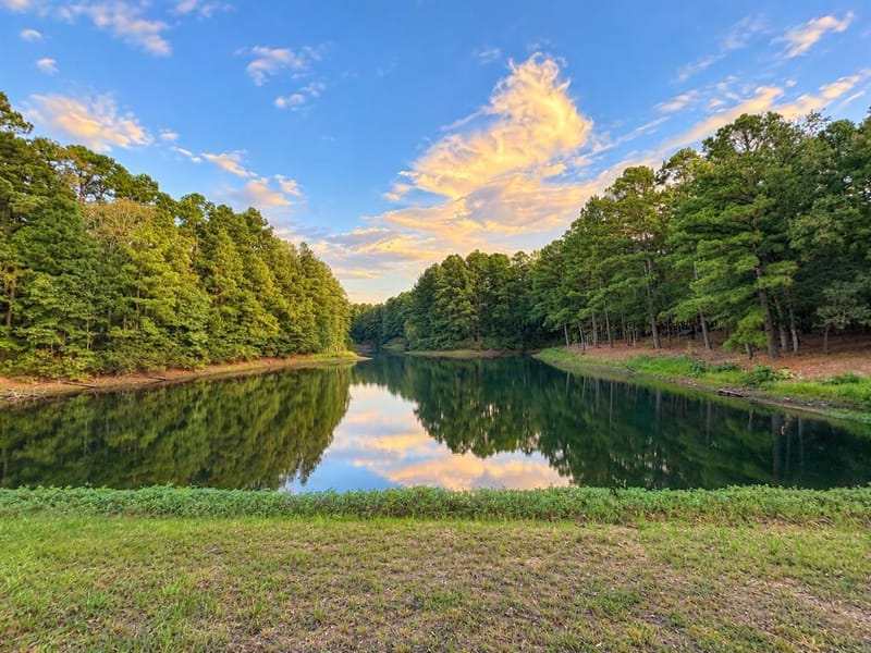 320 PR 8585, Winnsboro TX 75494 - Photo 2
