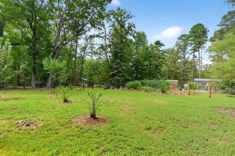 320 PR 8585, Winnsboro TX 75494 - Photo 30