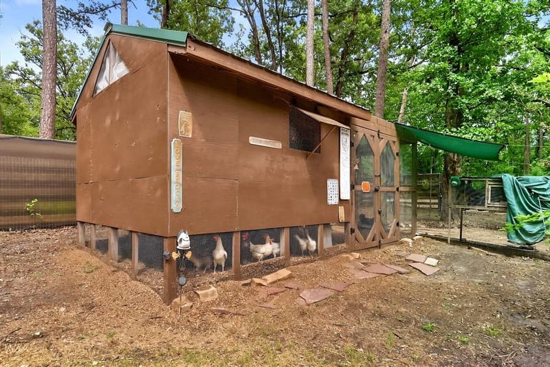 320 PR 8585, Winnsboro TX 75494 - Photo 29