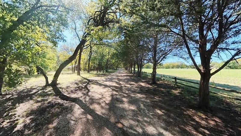 242 Oak Hill Road, Van Alstyne TX 75495 - Photo 4