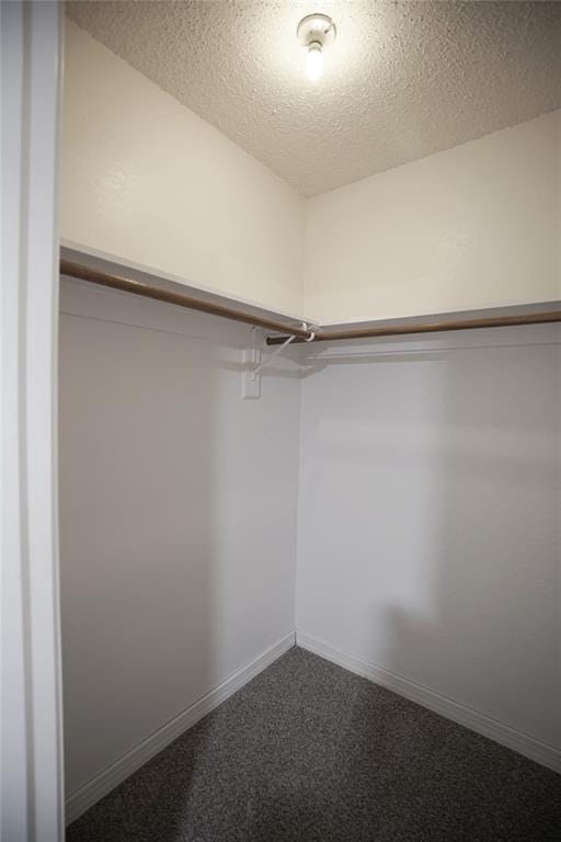 3007 Pacifica Street, Carrollton TX 75007 - Photo 13