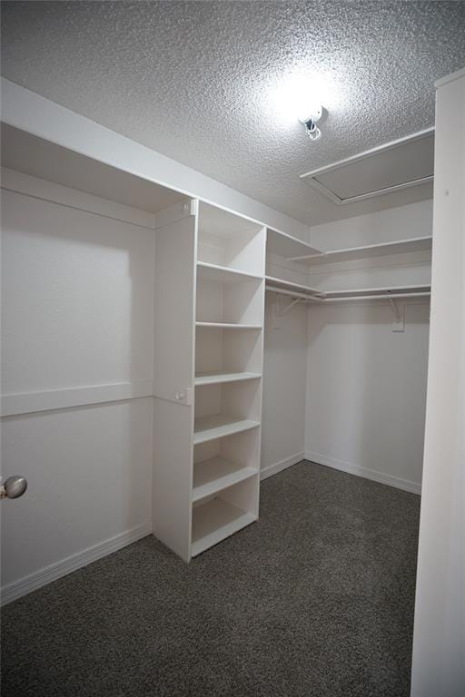 3007 Pacifica Street, Carrollton TX 75007 - Photo 10