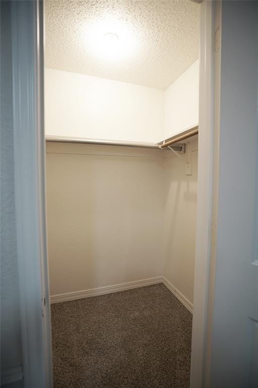 3007 Pacifica Street, Carrollton TX 75007 - Photo 15
