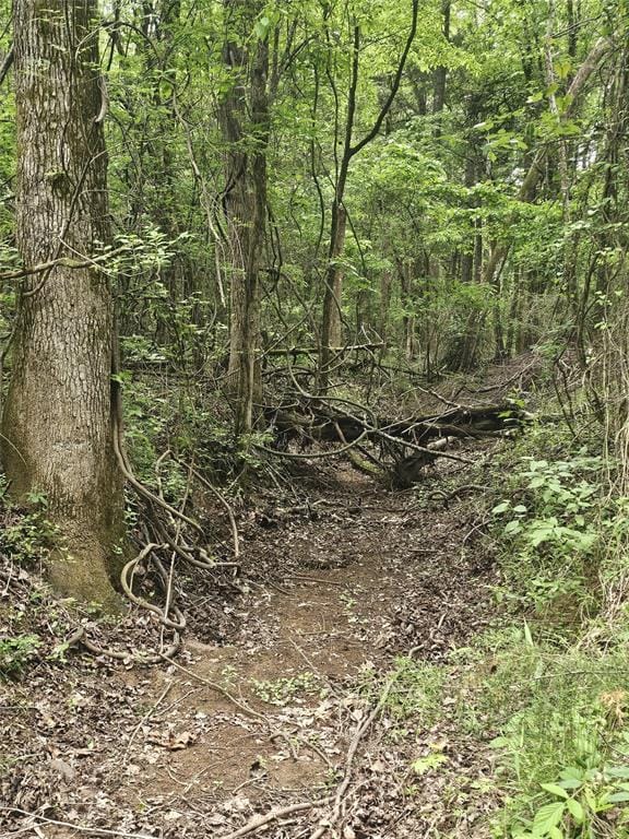 1350 County Road 45400, Paris TX 75462 - Photo 32