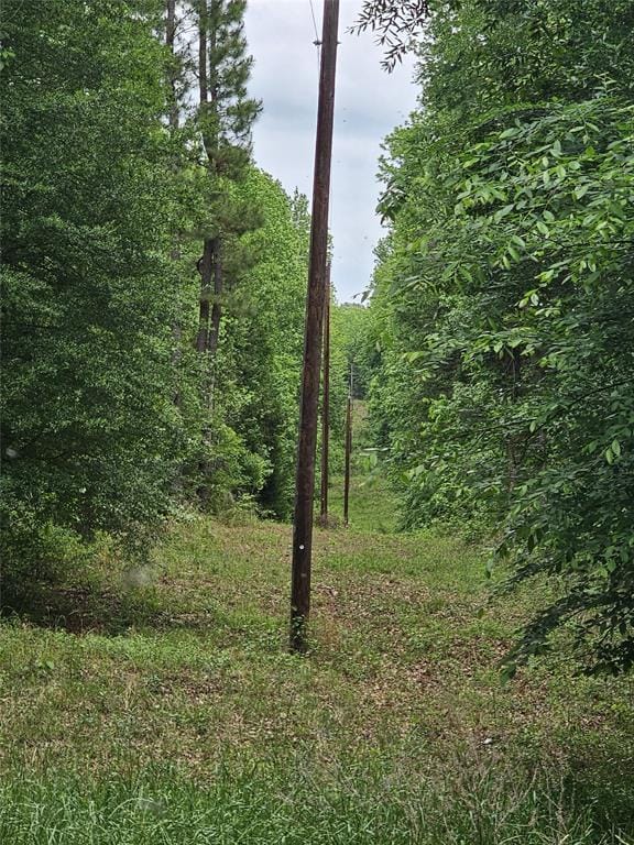 1350 County Road 45400, Paris TX 75462 - Photo 29