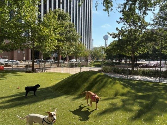 1200 Main Street # 804, Dallas TX 75202 - Photo 27