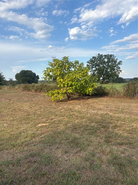 1150 Lamkin Road, Mineral Wells TX 76067 - Photo 17