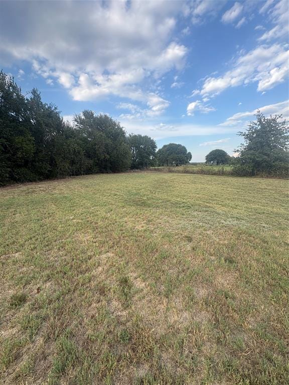 1150 Lamkin Road, Mineral Wells TX 76067 - Photo 16