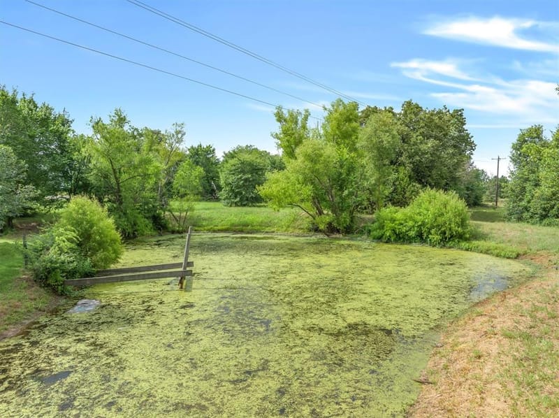 11286 FM 17, Grand Saline TX 75140 - Photo 6