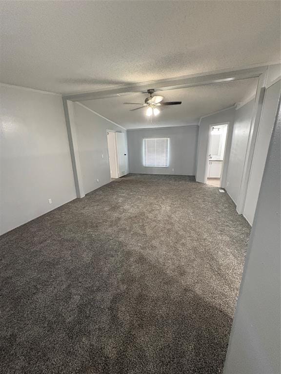 426 E McKinley Avenue, Haughton LA 71037 - Photo 6