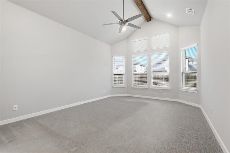 3681 Hollow Pine Drive, Frisco TX 75033 - Photo 21