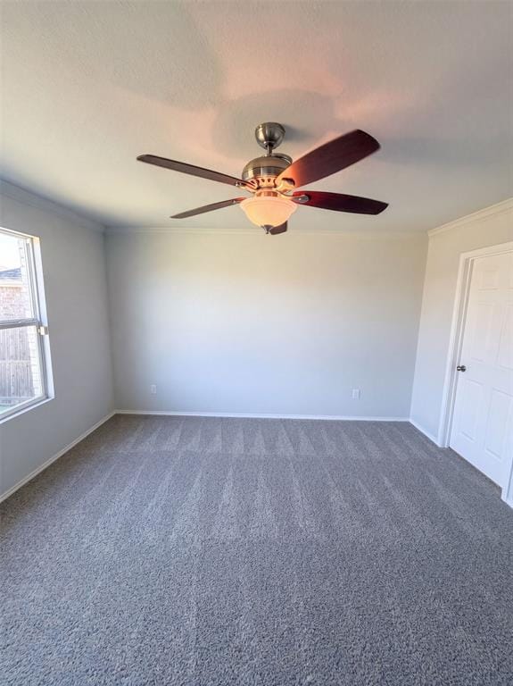 3029 Adrian Creek Drive, Little Elm TX 75068 - Photo 8