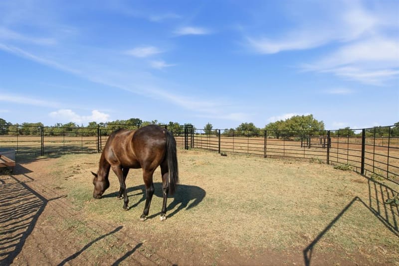 311 Dennis Road, Lipan TX 76462 - Photo 31