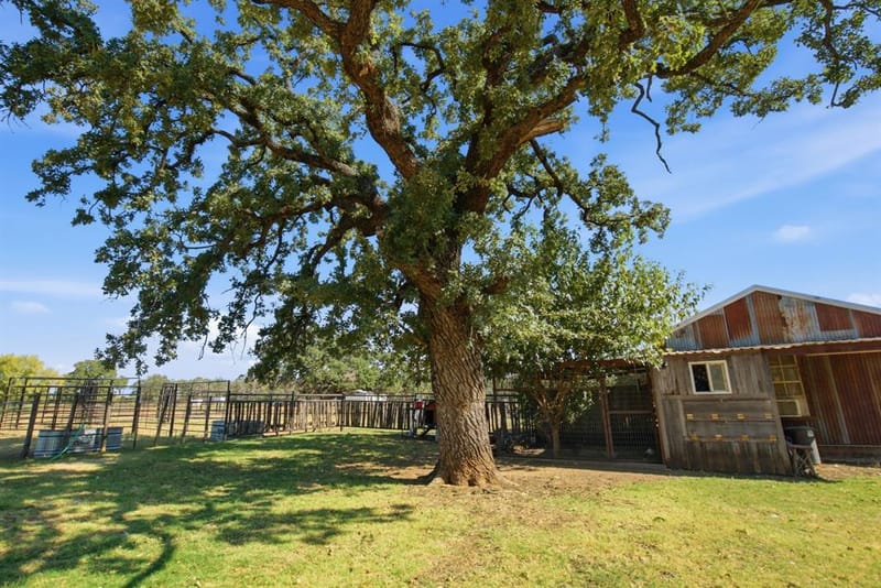 311 Dennis Road, Lipan TX 76462 - Photo 29