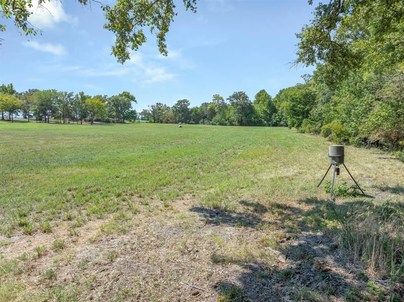 4620 Fm 1653, Ben Wheeler TX 75754 - Photo 34