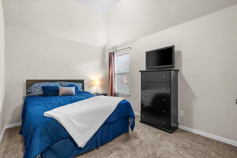 1210 Skyflower Lane, Celina TX 75009 - Photo 21