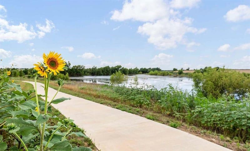 3305 Big Stump Court, Celina TX 75009 - Photo 29