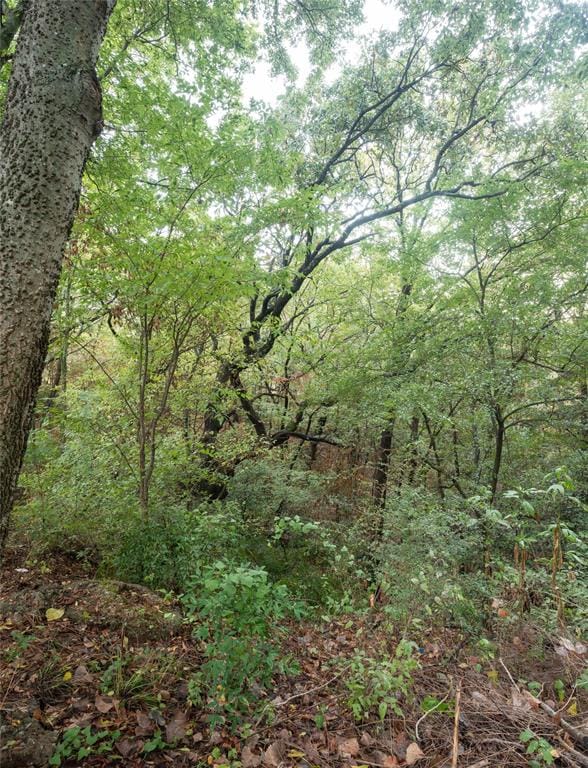 1600 W Day Street, Denison TX 75020 - Photo 22