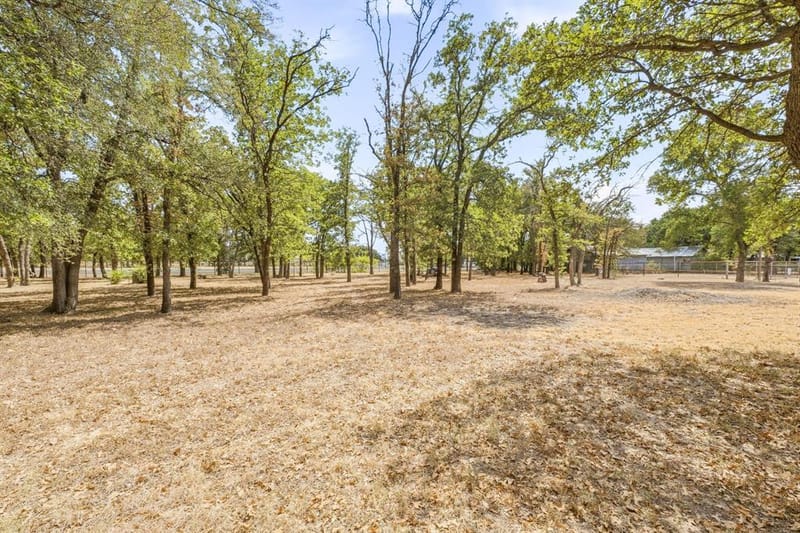 213 County Road 195, Dublin TX 76446 - Photo 36