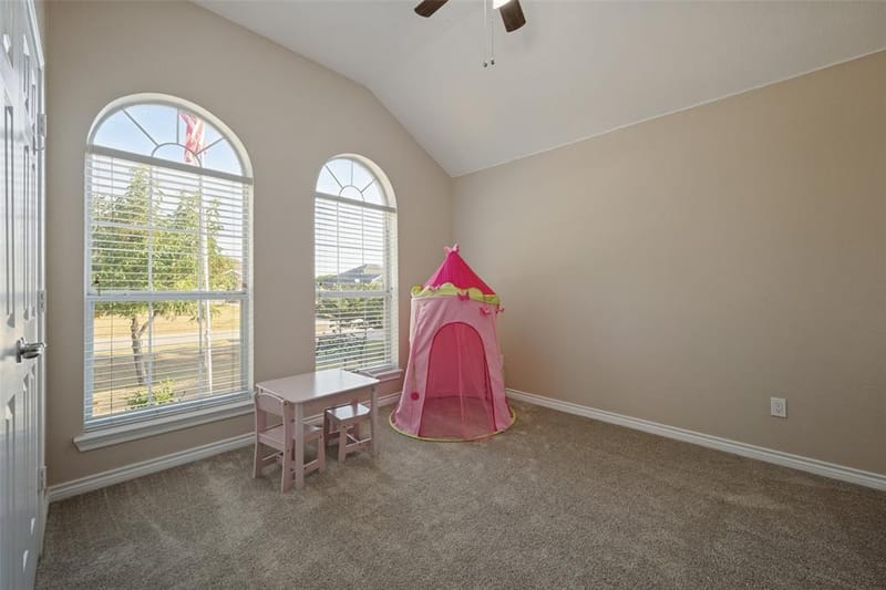 217 Southpeak Lane, Ponder TX 76259 - Photo 19