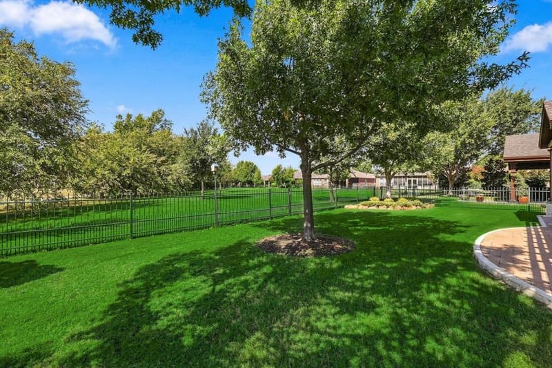 1641 Overwood Drive, Frisco TX 75036 - Photo 23