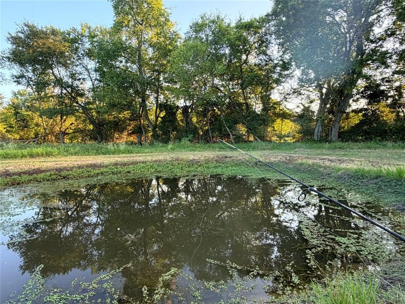 357 Private Road 7782, Wills Point TX 75169 - Photo 34