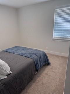 1702 Bristol Court N, Irving TX 75062 - Photo 20