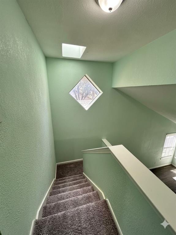 5533 Edendale Drive, Arlington TX 76018 - Photo 10