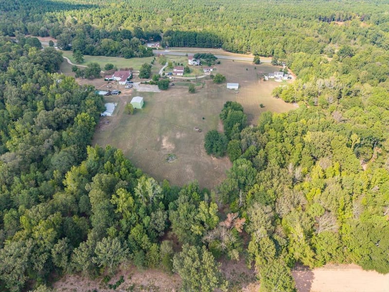2591 State Highway 64, Ben Wheeler TX 75754 - Photo 40