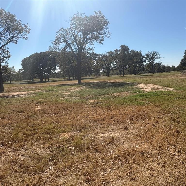 5047 N FM 17, Alba TX 75410 - Photo 12