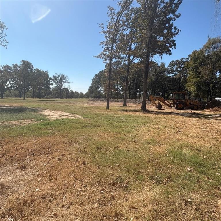 5047 N FM 17, Alba TX 75410 - Photo 14