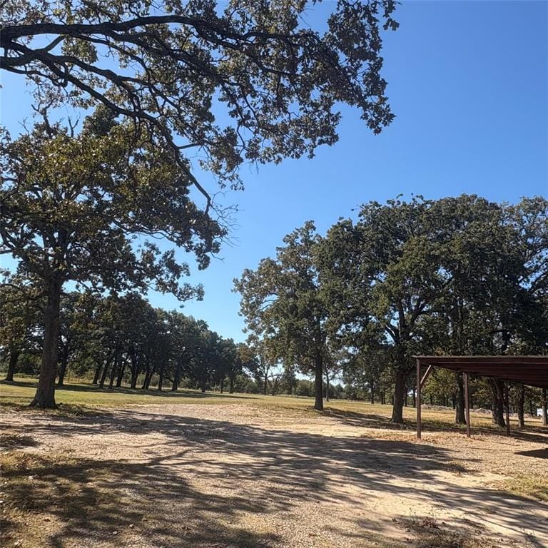5047 N FM 17, Alba TX 75410 - Photo 29