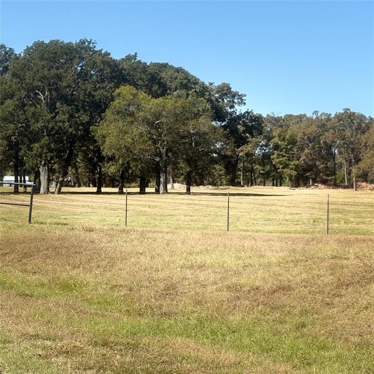 5047 N FM 17, Alba TX 75410 - Photo 8
