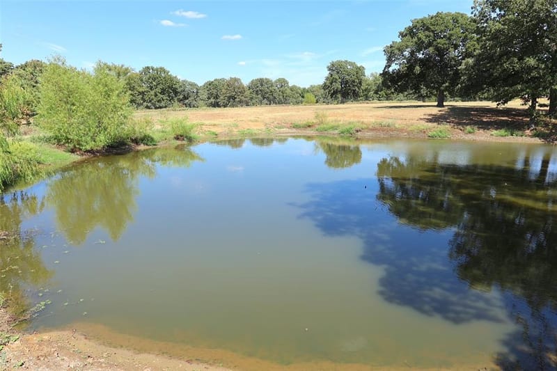 1111 Riley Road, Whitesboro TX 76273 - Photo 27