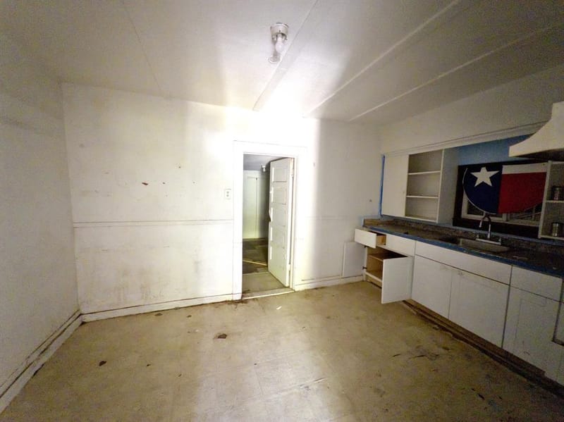 4514 Spring Garden Street, Dallas TX 75215 - Photo 10