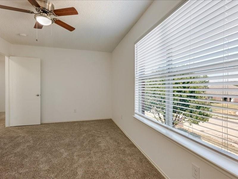 1606 Withers Way, Krum TX 76249 - Photo 16