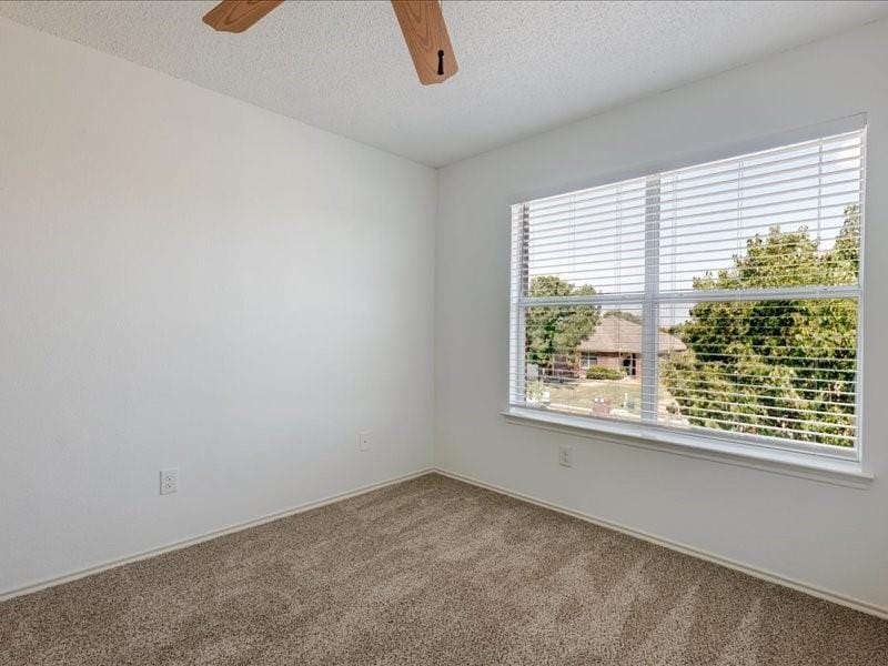1606 Withers Way, Krum TX 76249 - Photo 24