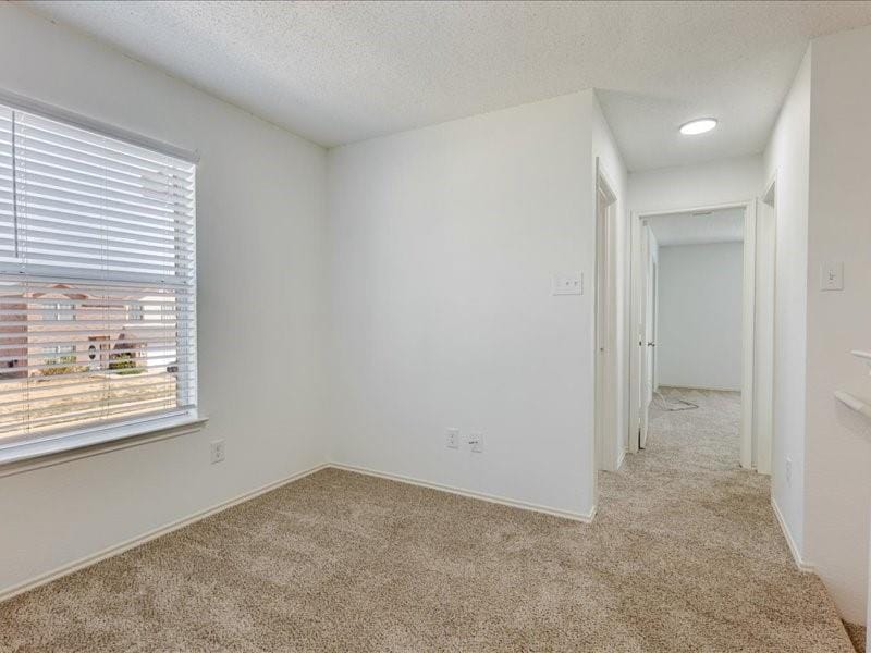 1606 Withers Way, Krum TX 76249 - Photo 19
