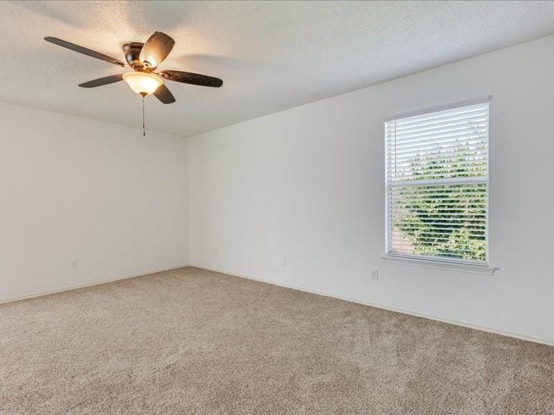 1606 Withers Way, Krum TX 76249 - Photo 25