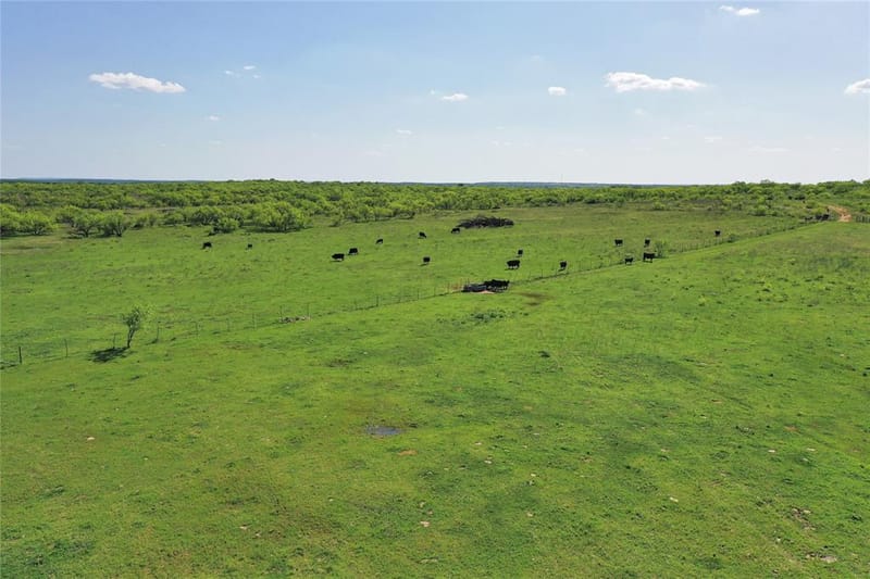 TBD FM 175 Tract #4 with  Improvements, Jacksboro TX 76365 - Photo 22